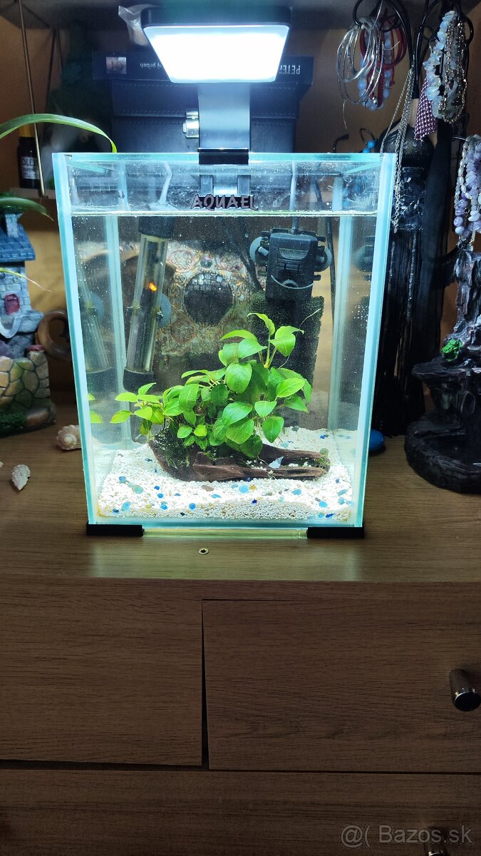 Akvárium Aquael 10l Set - 3