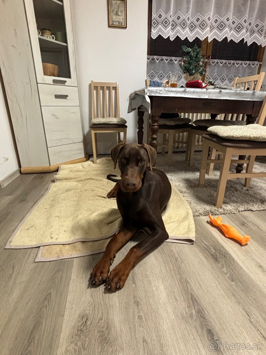 Len do dobrých rúk - 3