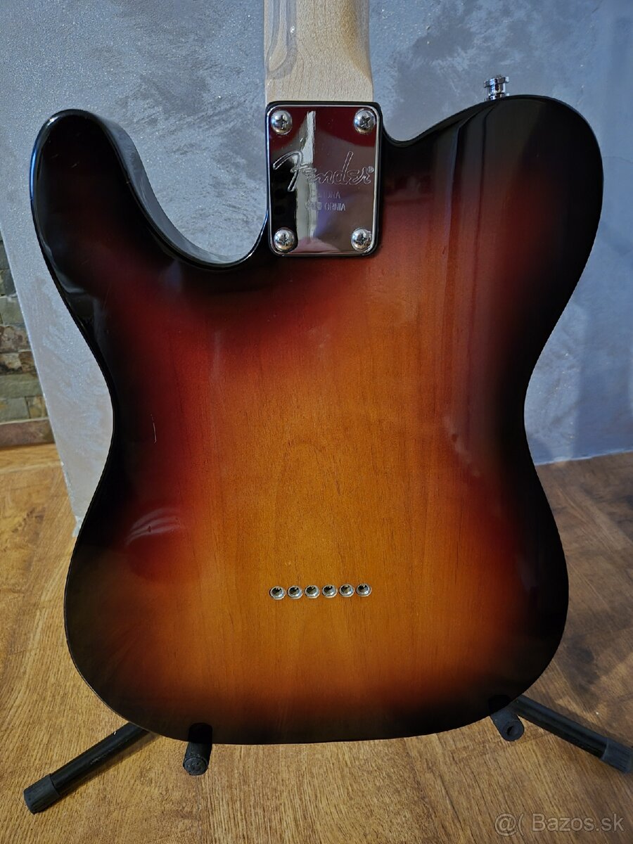 Fender "Partcaster" 2009 - 3