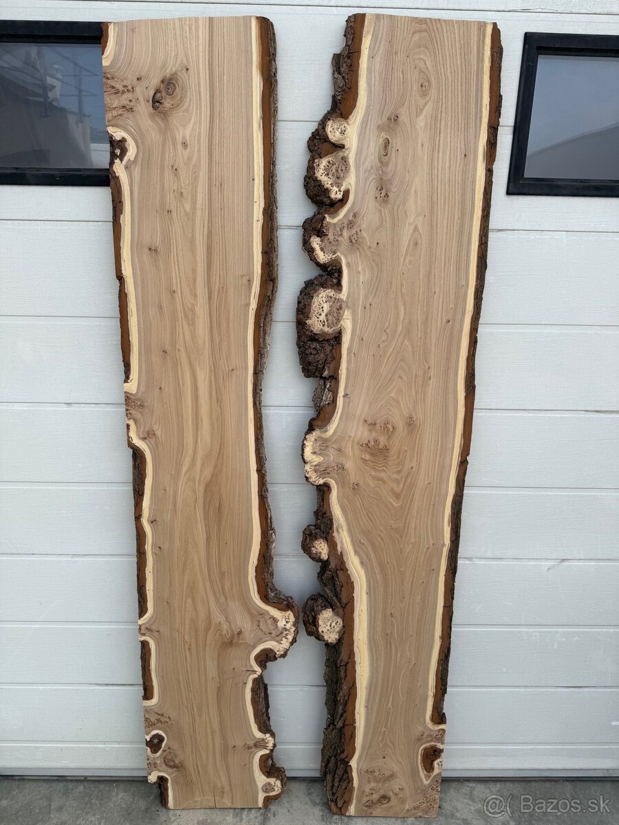 Očkový brest-na stôl - 3