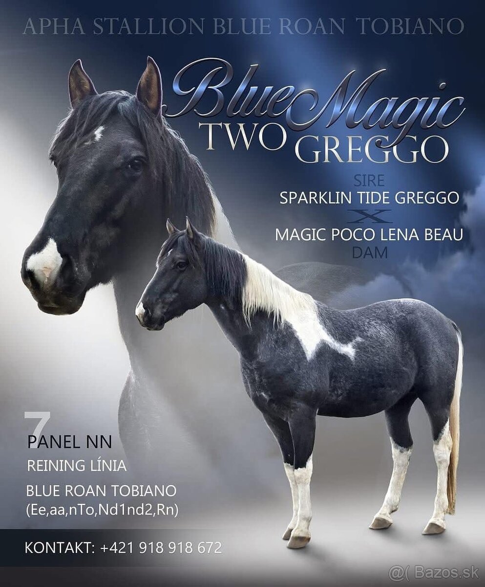 APH QH ZREBCE PRIPUSTANIE 2026 - 3