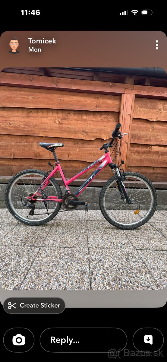 Predam horsky damsky bicikel - 3
