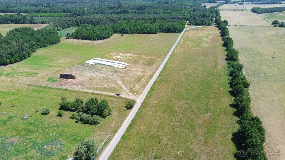 Predaj investičného pozemku v k.ú. Borský sv. Jur. - 3