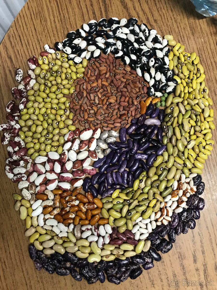 Fazuľa - 3