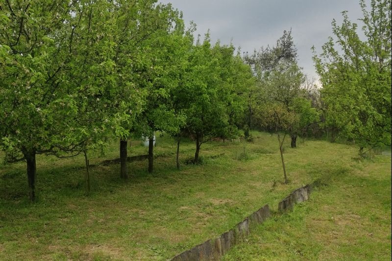 Záhrada ( Nové Mesto nad Váhom) - 3