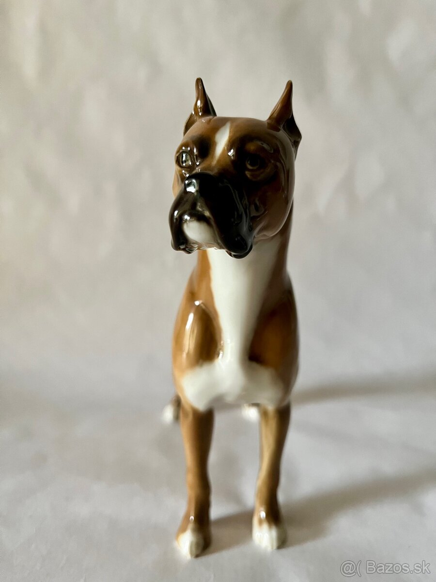 Porcelanove psy Hutschenreuther boxer - 3