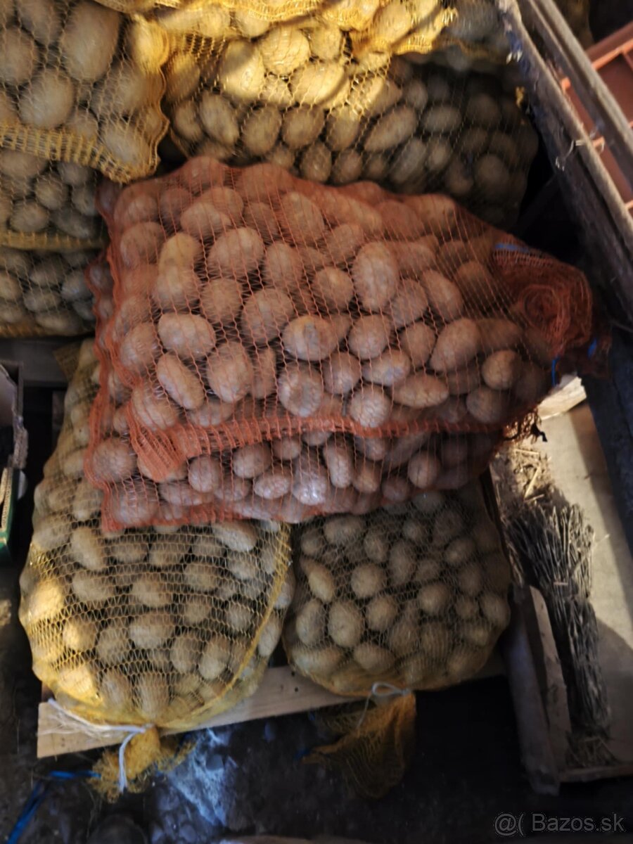 Predám drobné zemiaky - 3