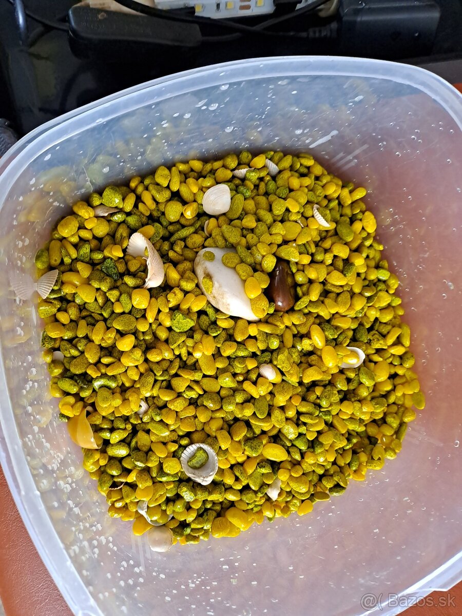 Akvárium, sklenený so všetkým - 3