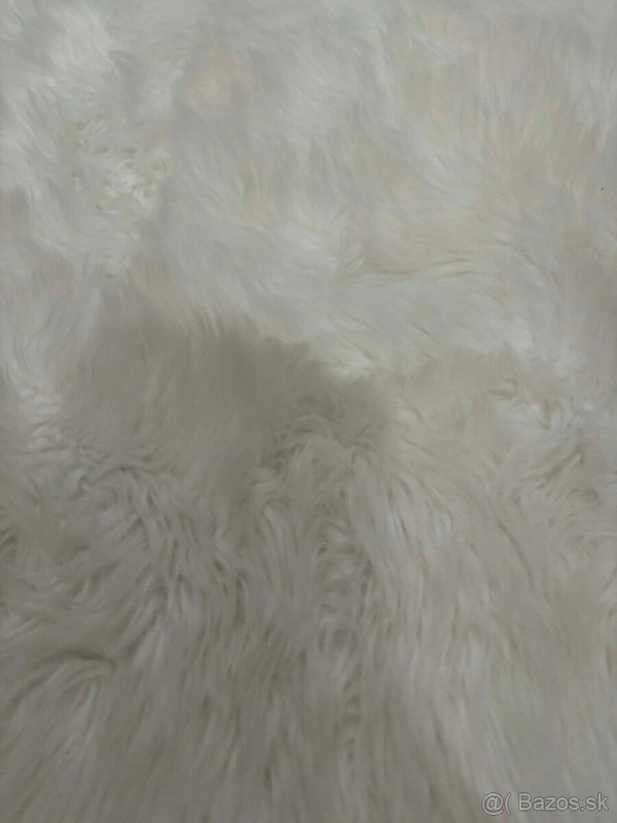 Nádherný koberec - 3