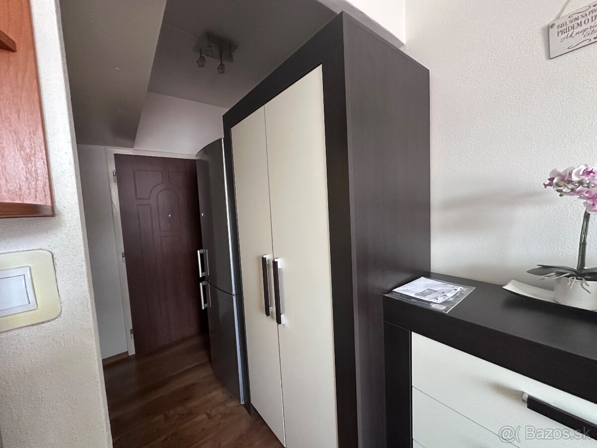Prenájmem garsónku - 3