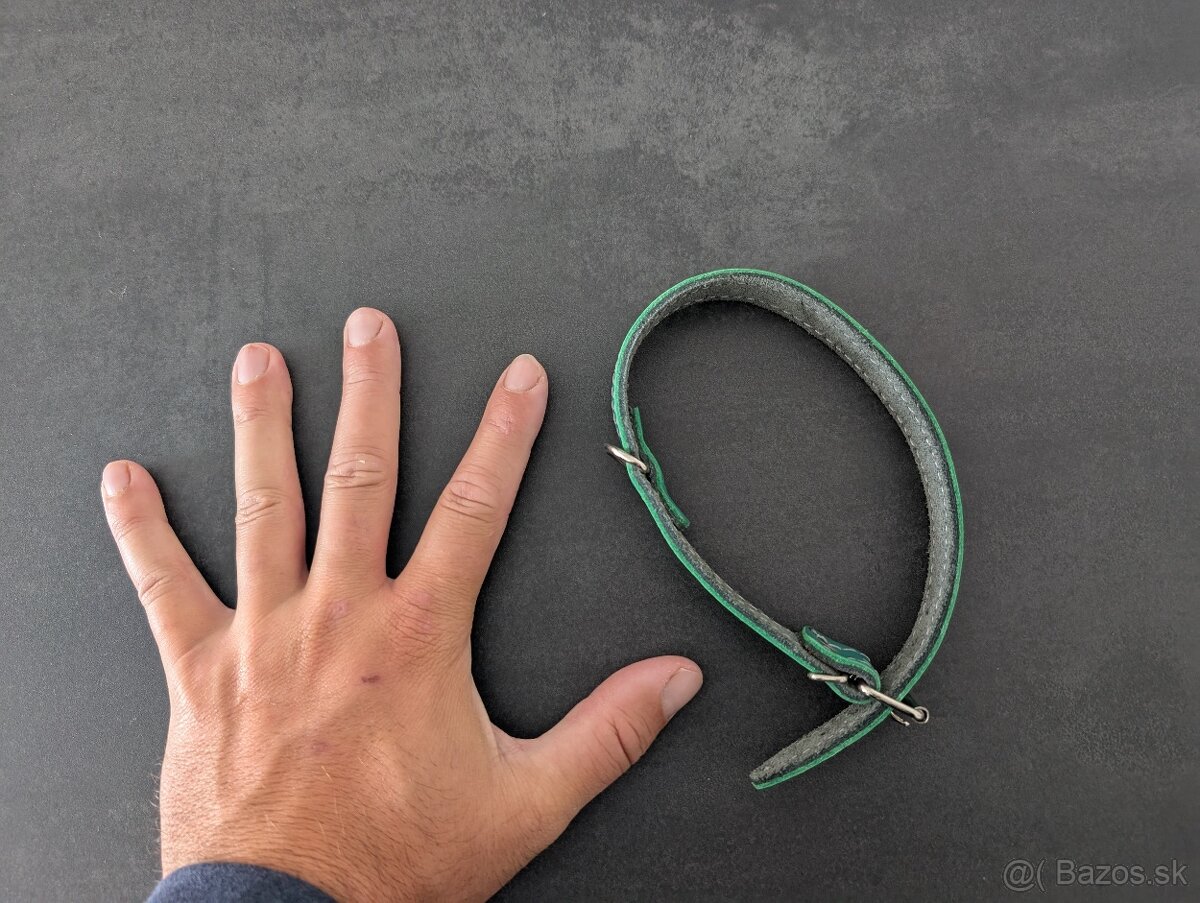 Vodítko, obojok, podložka na cikanie - 3