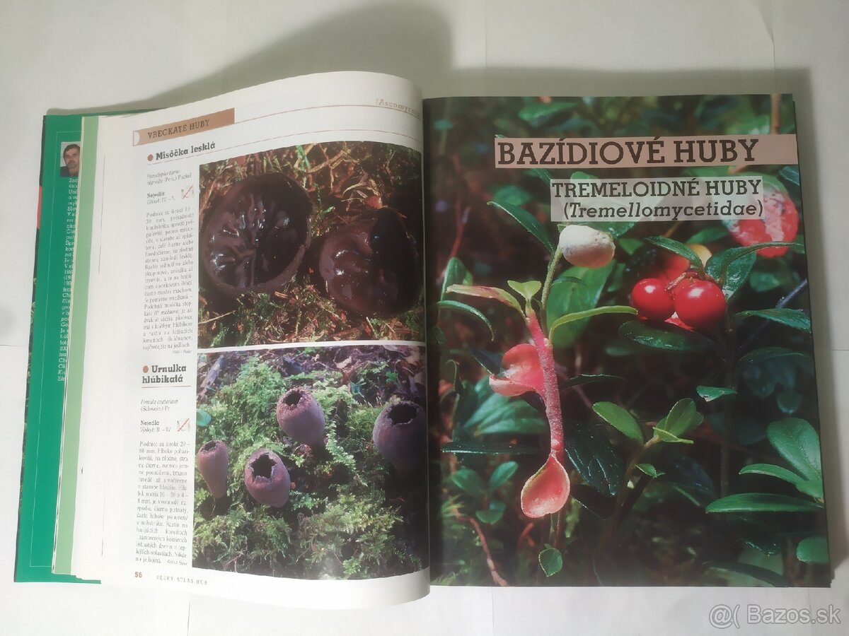 Veľký atlas húb - 3