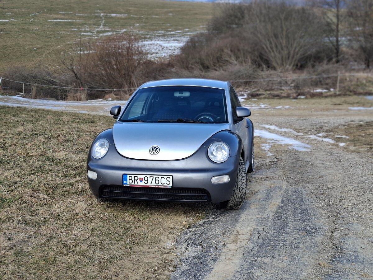 VW NEW Beetle - 3