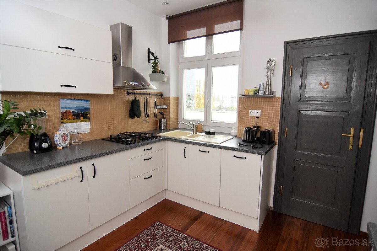 Štýlový, veľký 1-izbový byt v širšom centre - 3