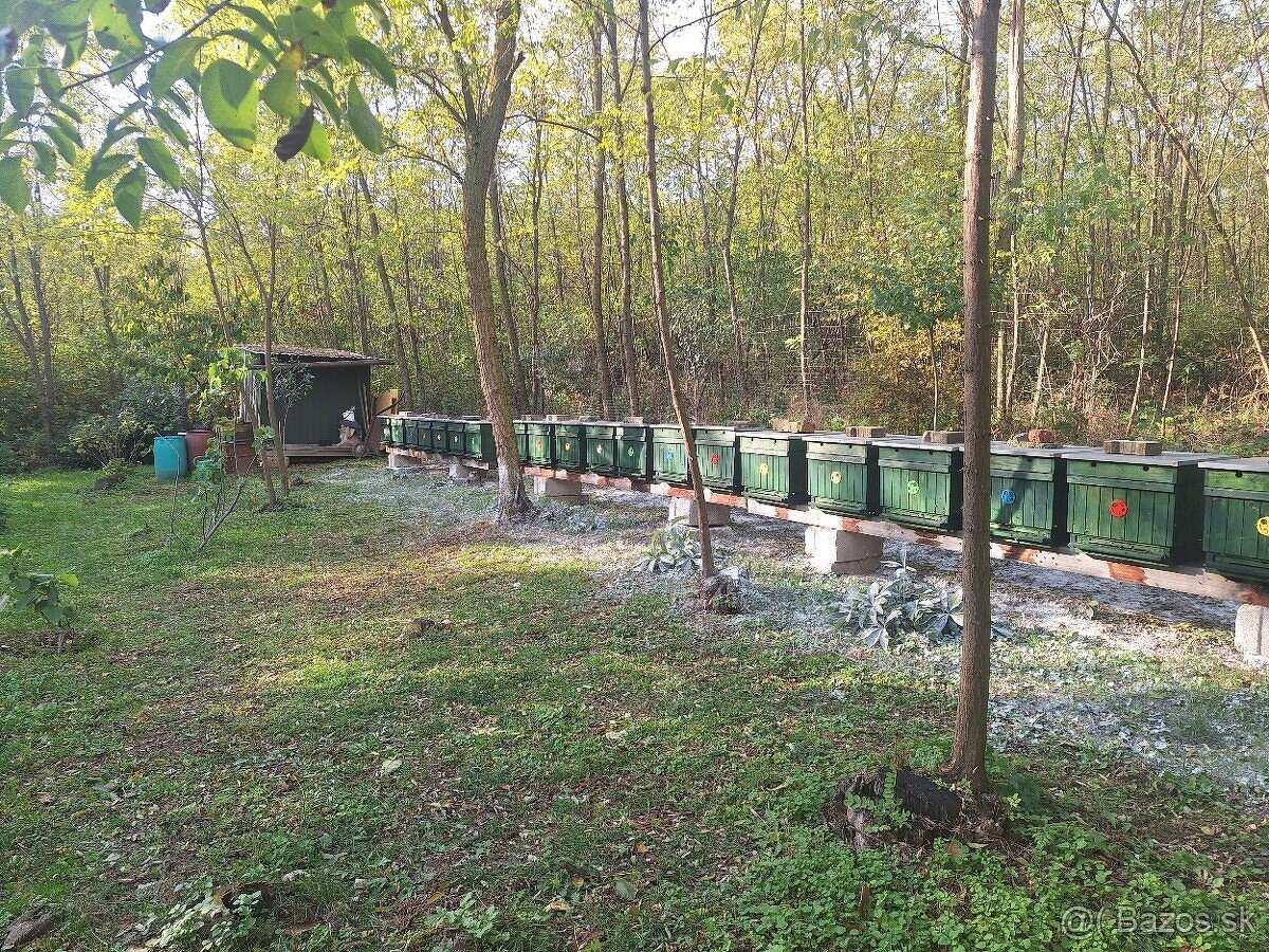 Predám krásnu včelnicu - 3