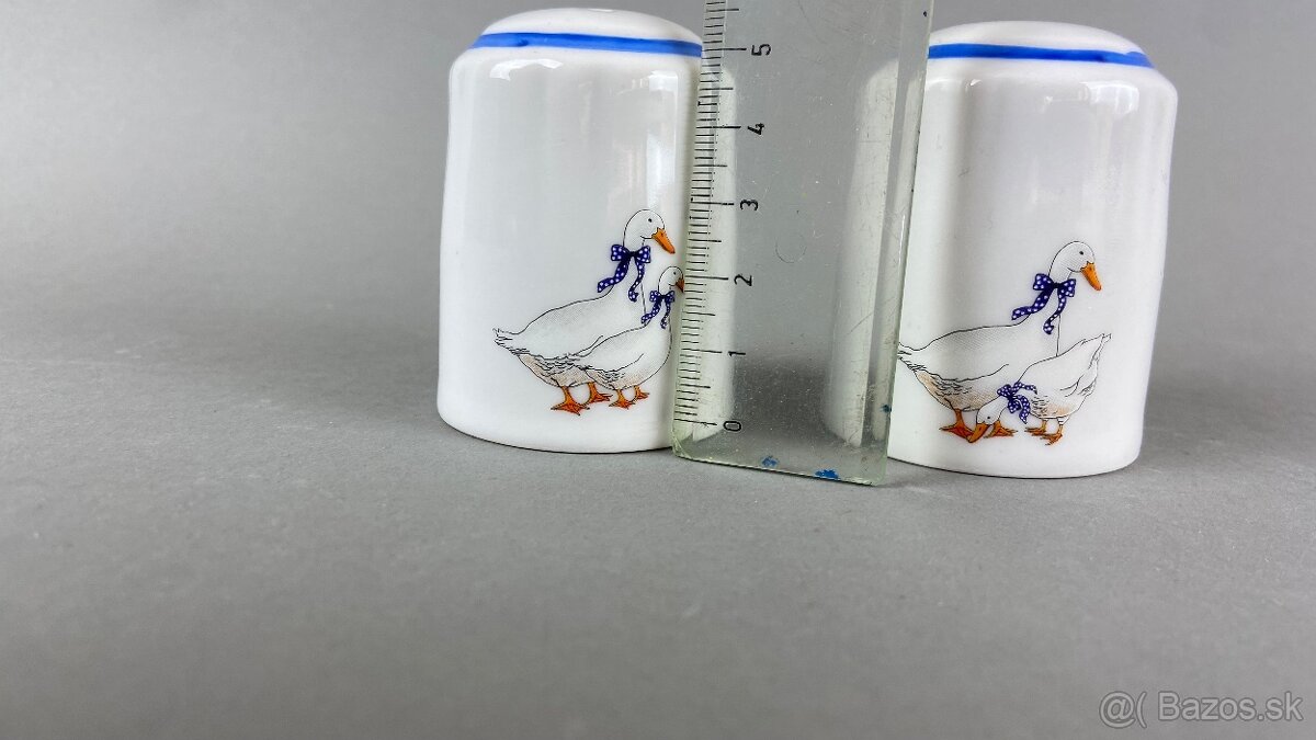 korenicka husy s modrou linkou, Moritz Zdekauer - 3