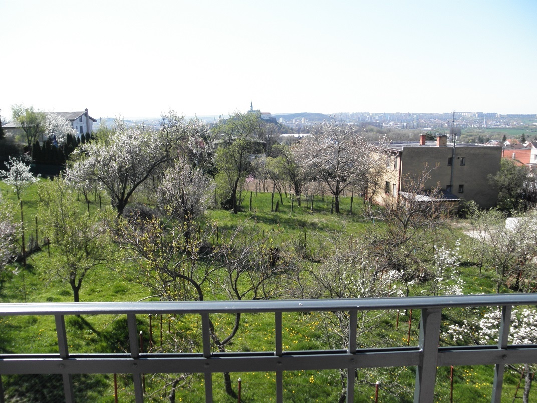 Prenajom 2izb.bytu v dome - 3