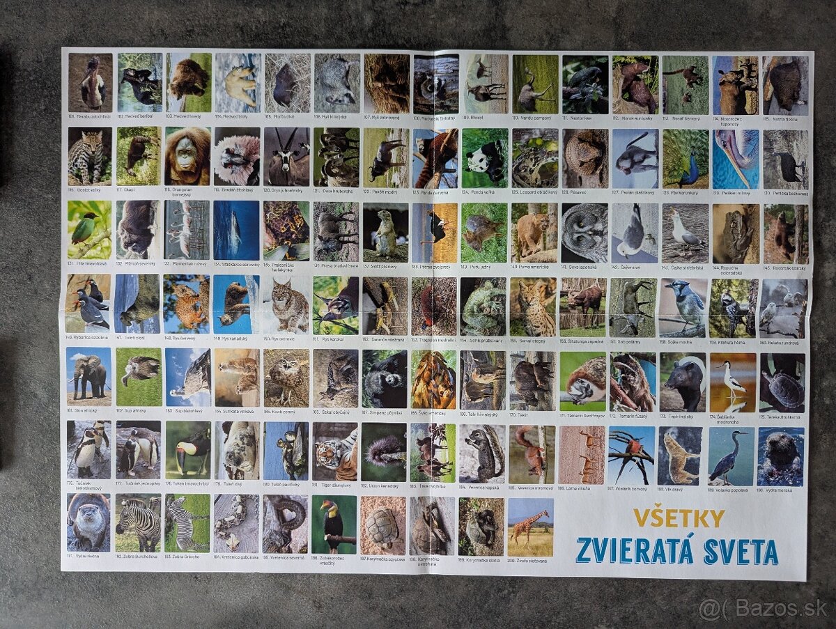 Všetky zvieratá sveta - 3