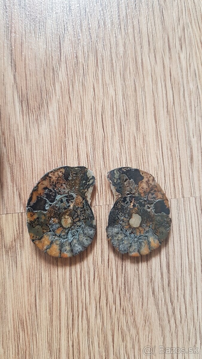 Skameneliny + amonit miska - 3