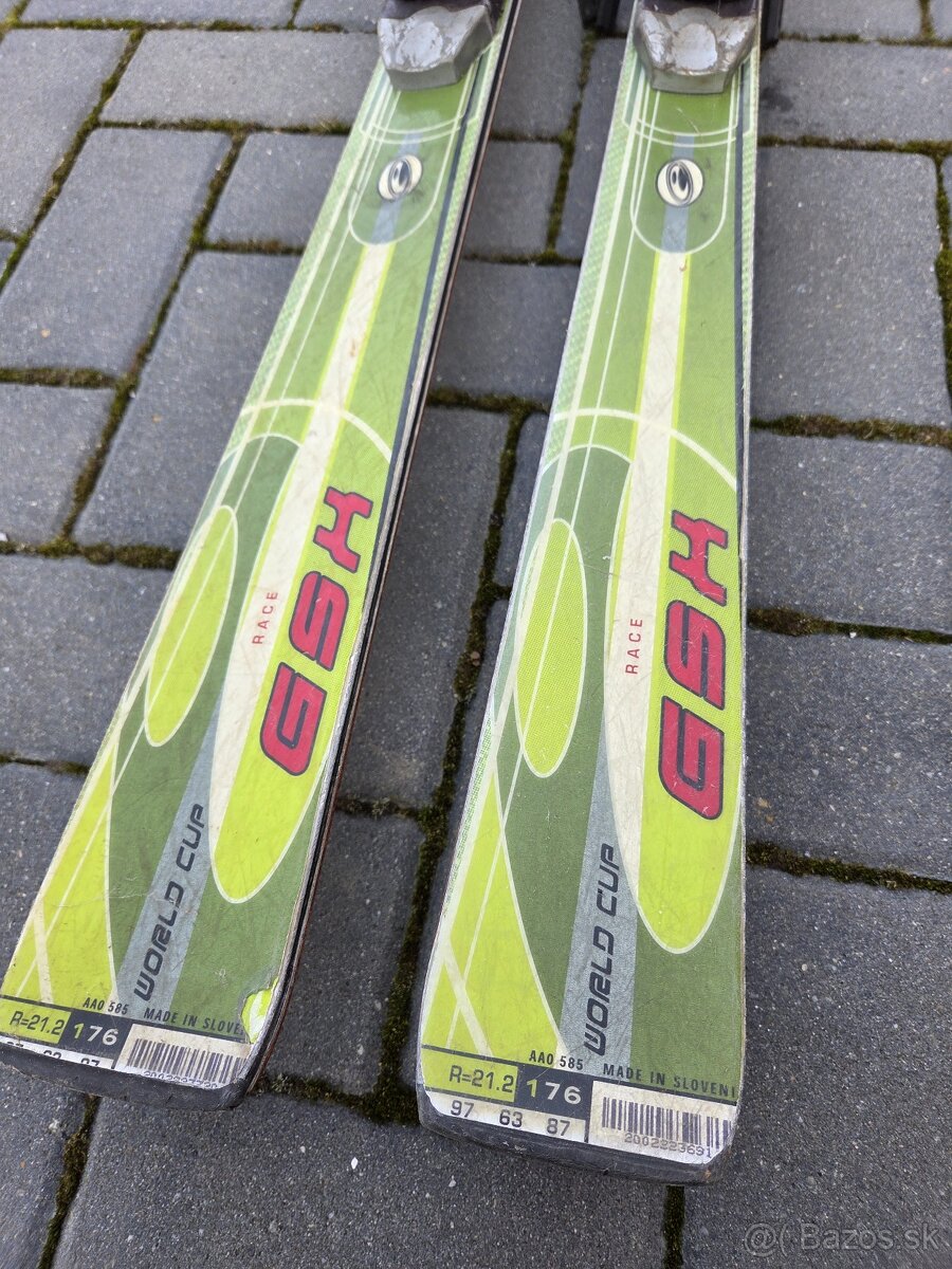 Lyže ELAN Race GSX Titanium IDS - 3