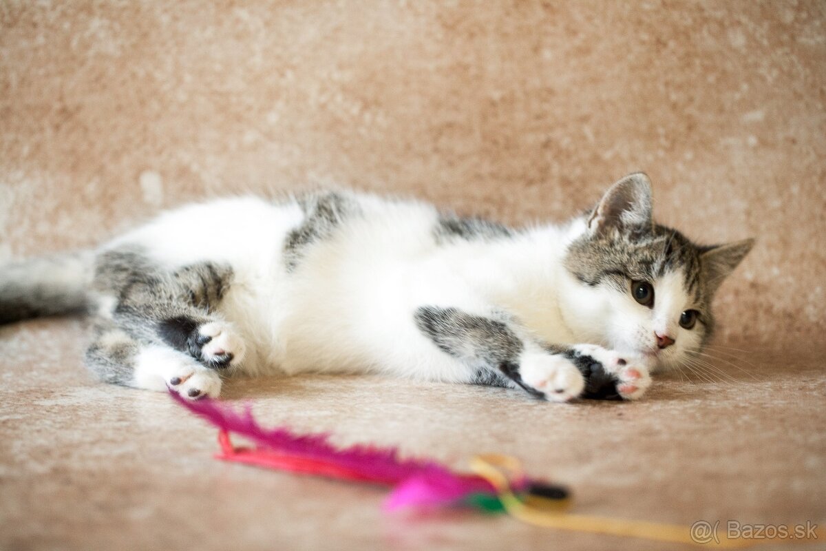 ❤ Lesana - nebojácna a vždy veselá slečna - 3