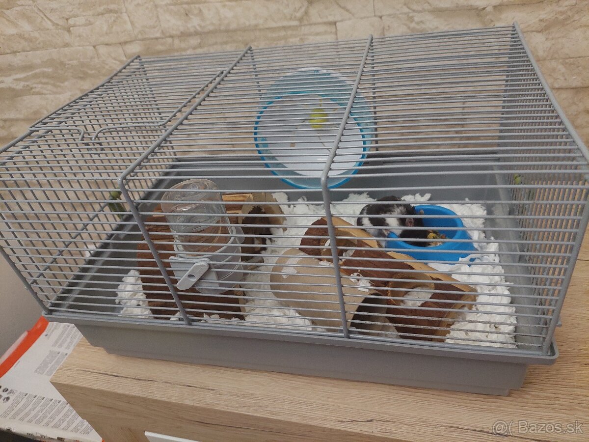Džungarský škrečok s klietkou - 3