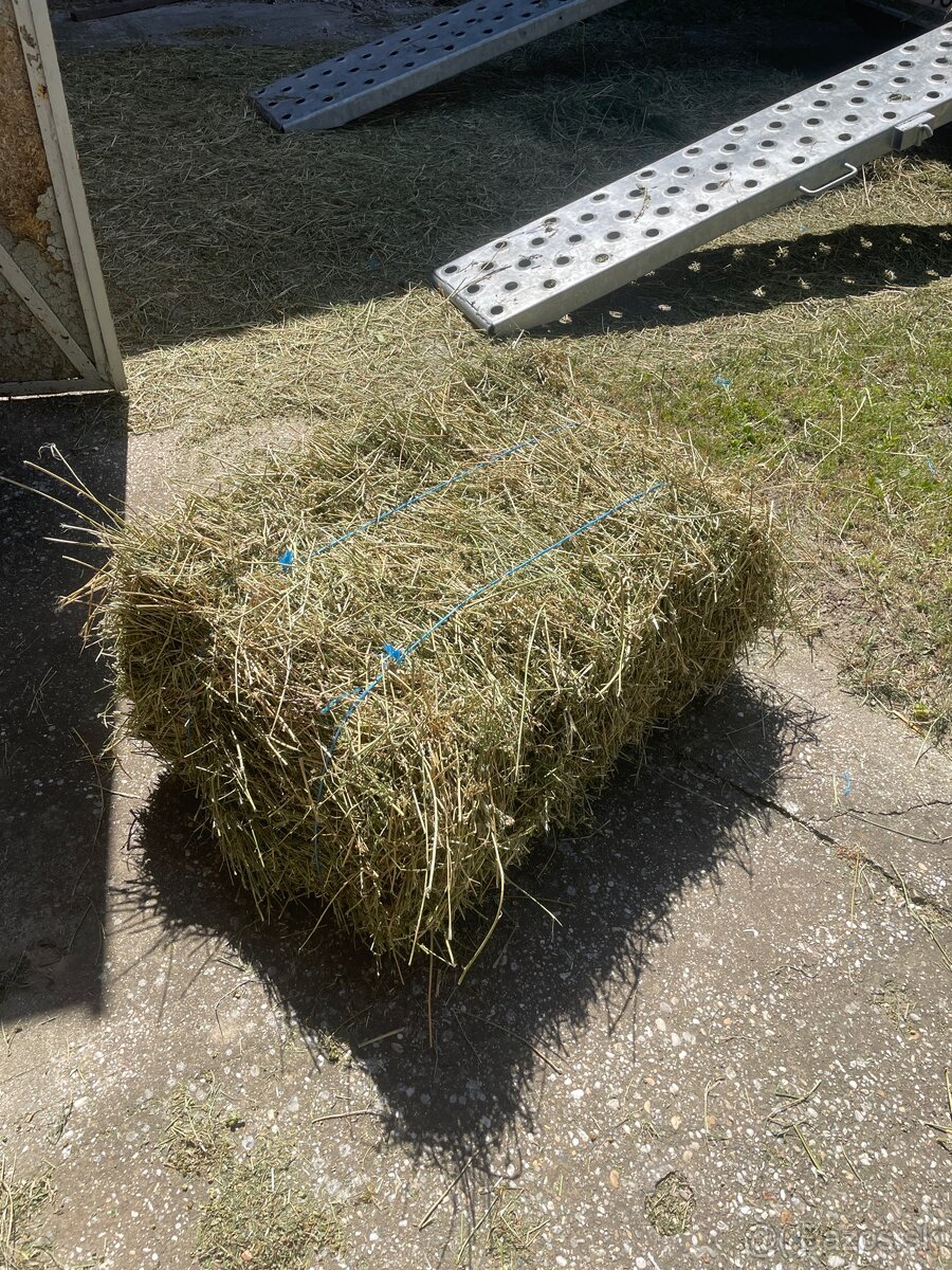 Predám balíky lucerny - 3