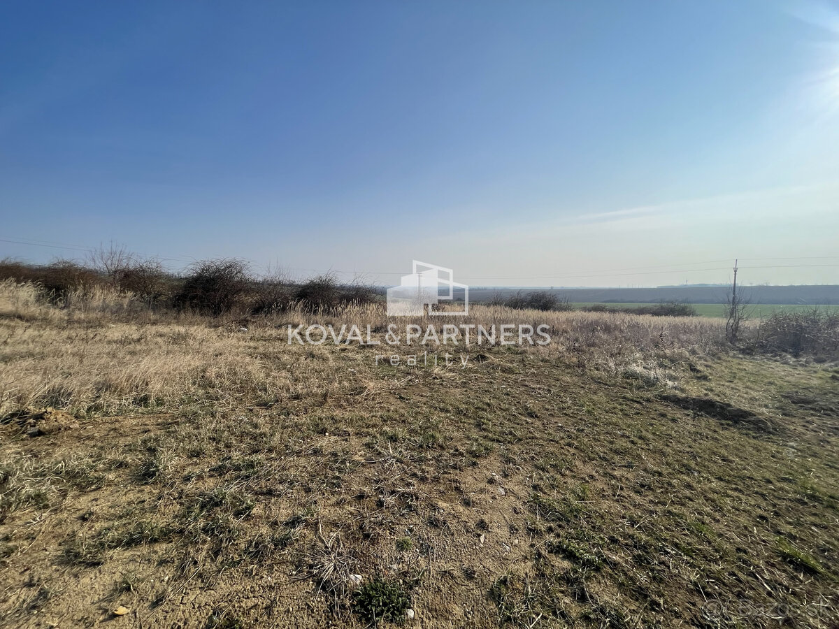 Na predaj orná pôda 3706 m2 - 3