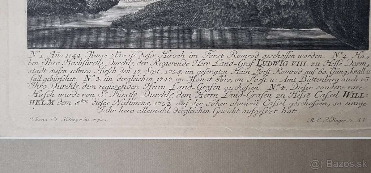 Ridinger - medirytina /vyše 270.ročná/ - 3