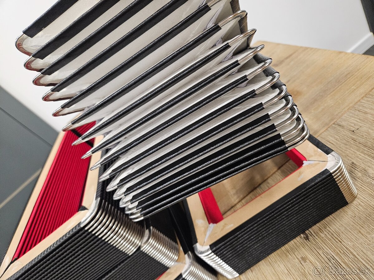 Mech na akordeony.. - 3