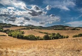 Poľnohospodárska pôda. - 3