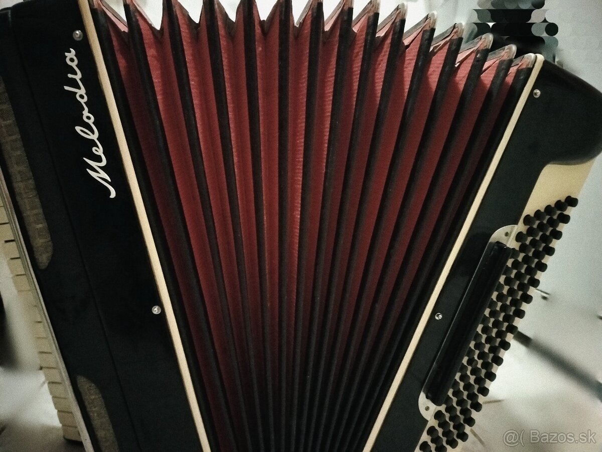 Akordeon Harmonika Lignatone Melodia - 3