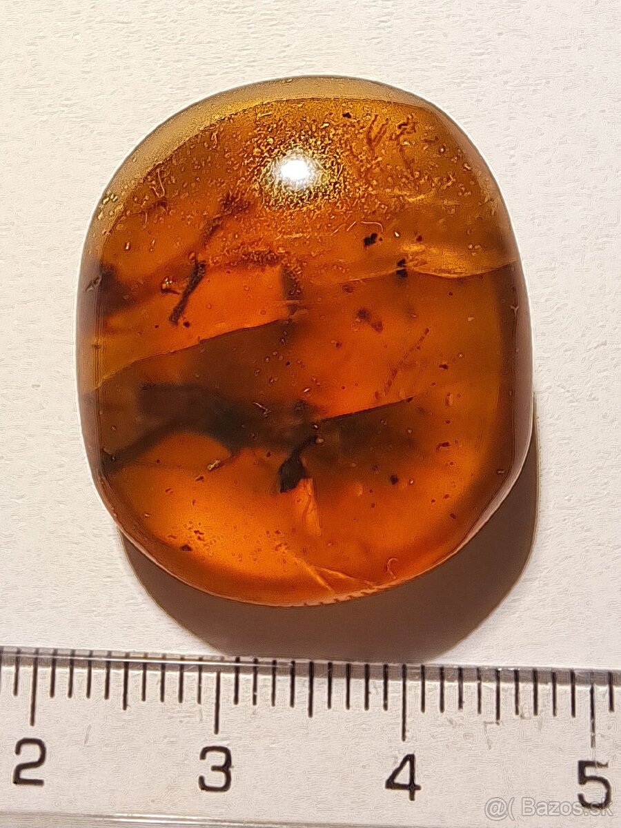 Jantár s veľkým hmyzom - 3