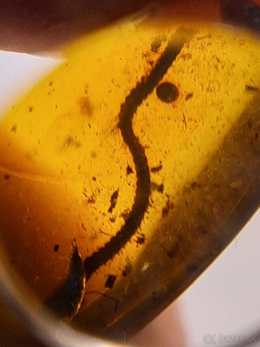 Jantár s mnohonôžkou - 3