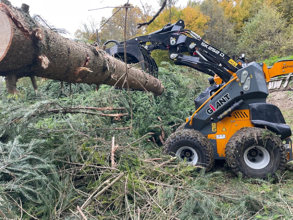 Pílenie stromov, výrub stromov - 3