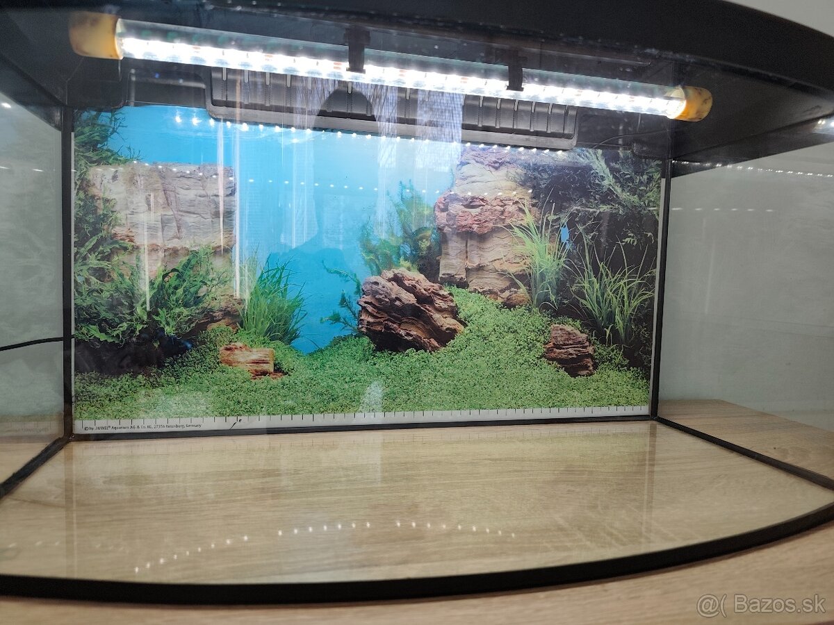 Aqvarium - 3
