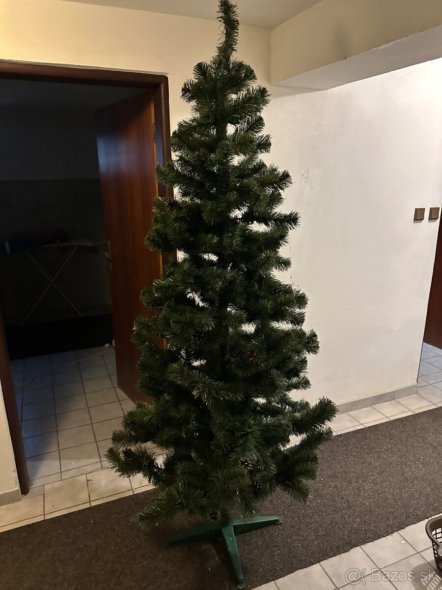 Predam vianocny stromcek - 3