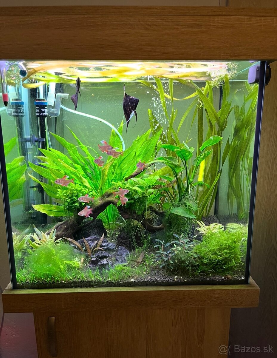 Akvarium 150l - 3