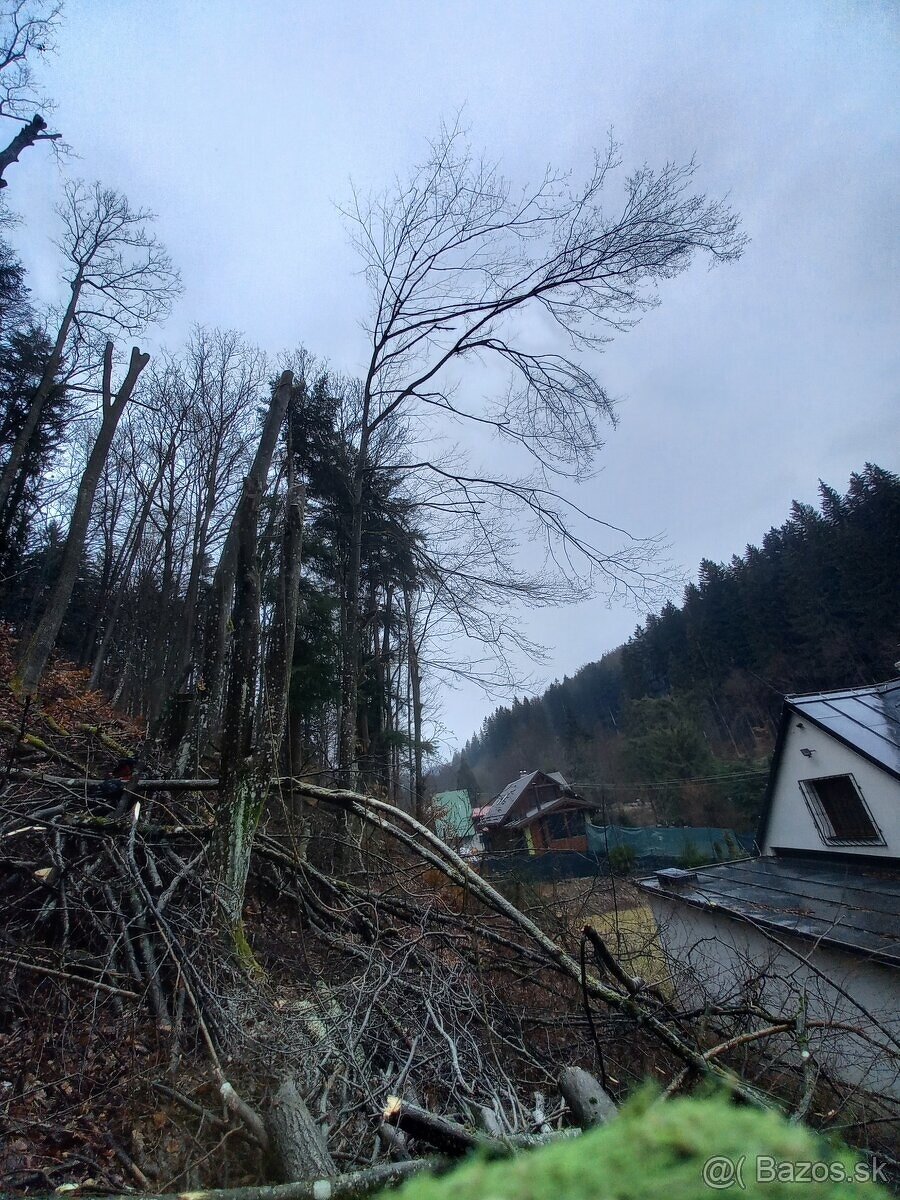 VÝRUB/OREZ STROMOV, LACNO A BEZPEČNE - 3