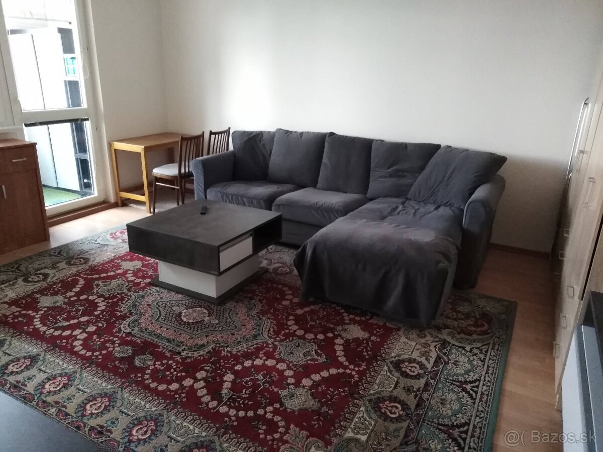 Prenájom 1 izbový byt - 3