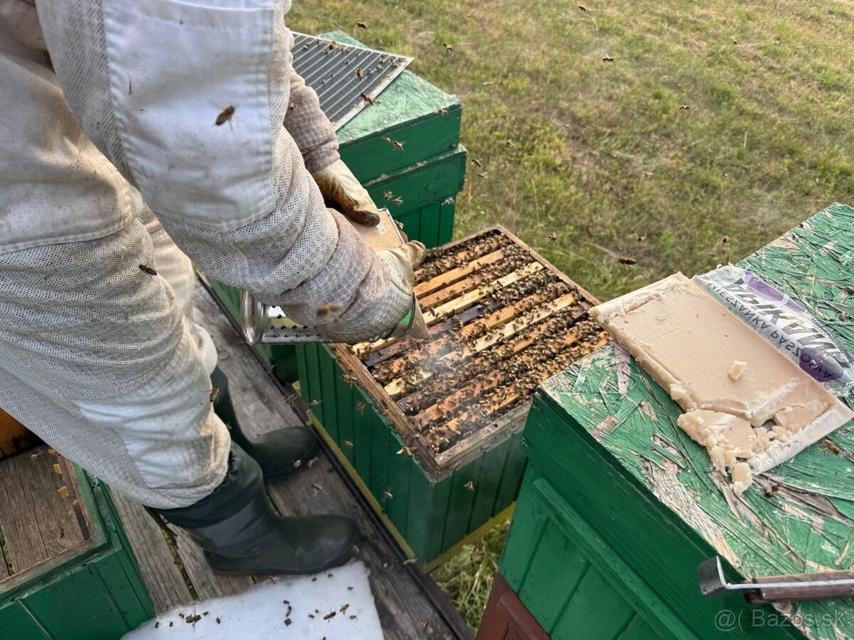 Predám produkčné vcelstvo - 3