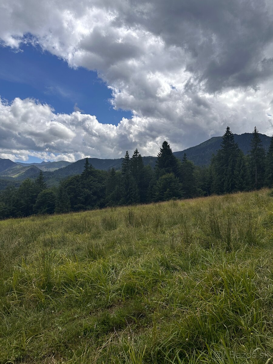 Výnimočný pozemok na predaj Oravice s exkluzívnymi výhľadmi - 3