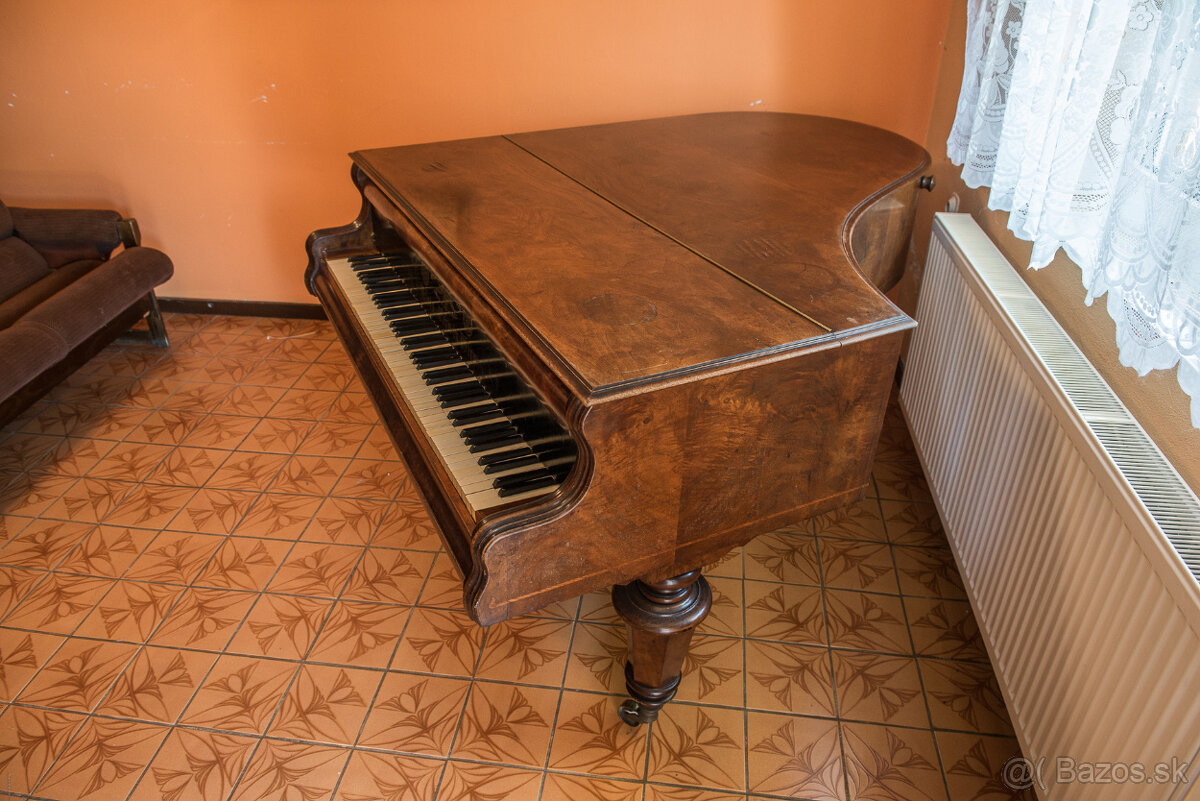 ALOIS KERN PIANO FORTE - 3