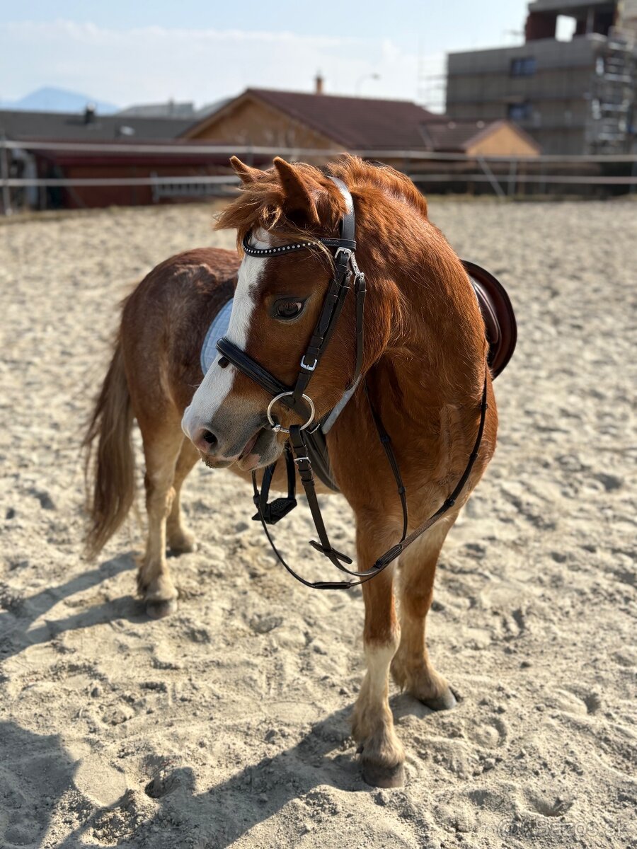 Ponik ideálny pre deti - 3