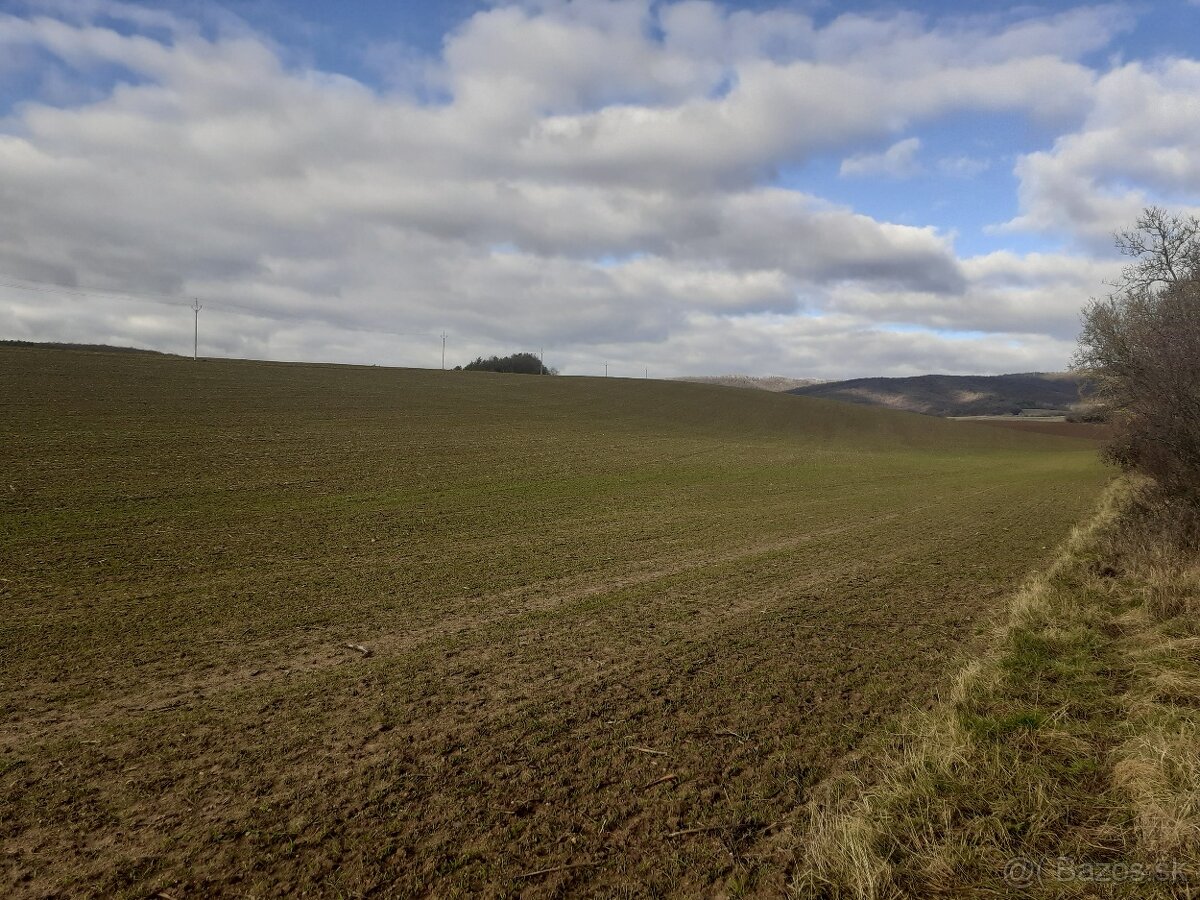 Veľké pozemky v katastry obce Hradište - 3