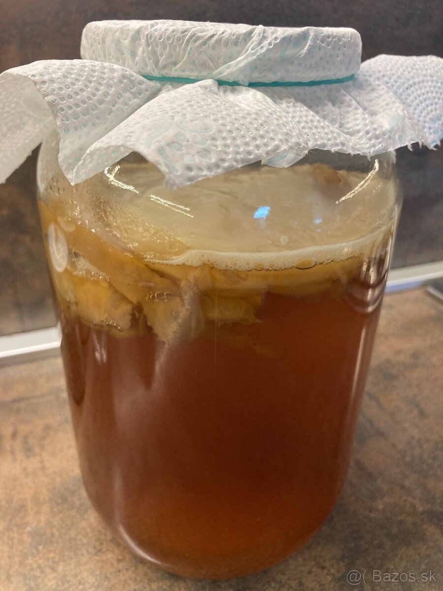 Kombucha -čajova huba - 3