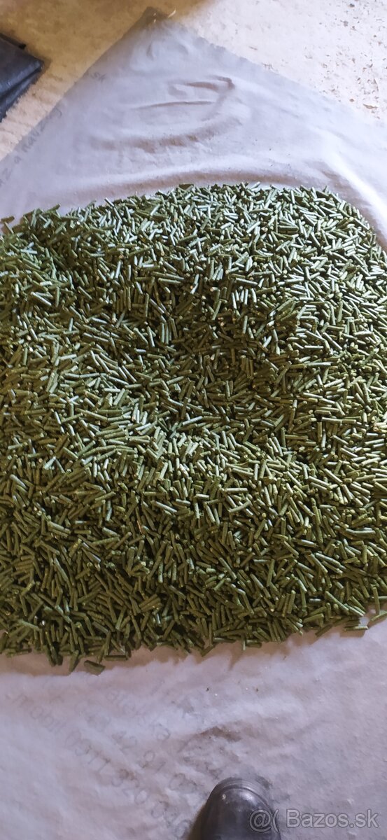 Granule - 3