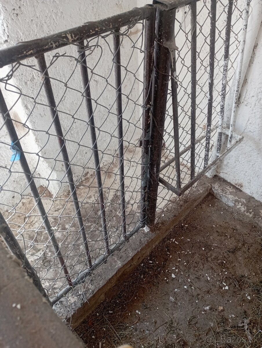 Zábradlia pre prasatá - 3