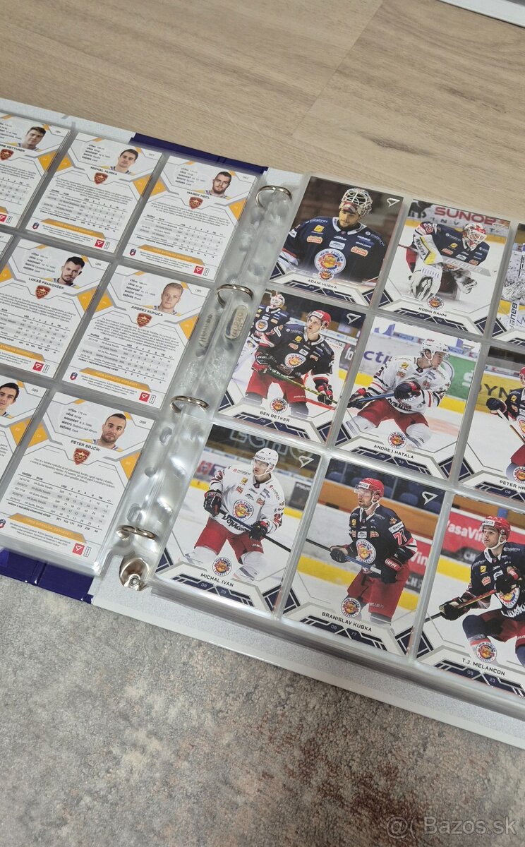 Hokejové kartičky - 3