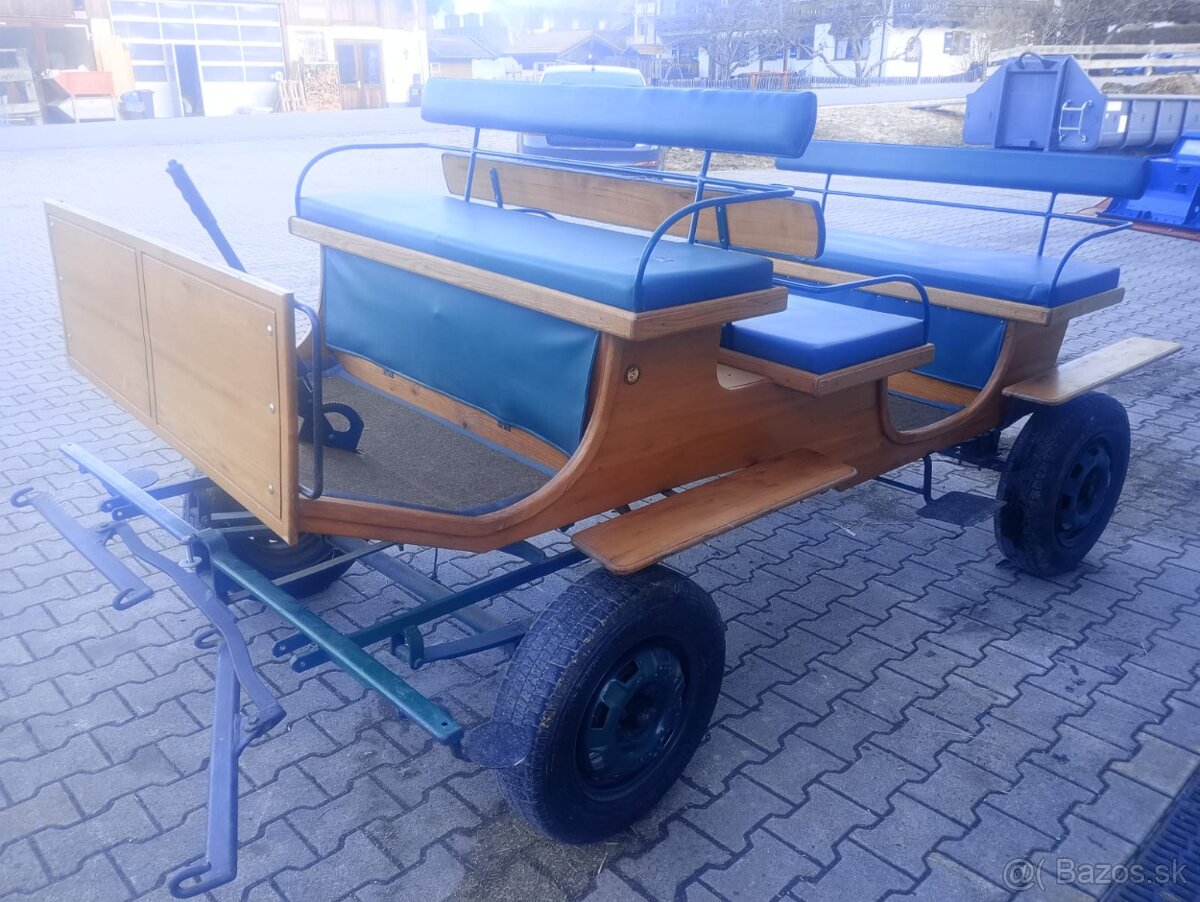 Vagoneta / koč / brička - 3